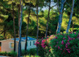Location - Louer Cote d'azur Saint-Cyr-sur-Mer Camping les Dauphins
